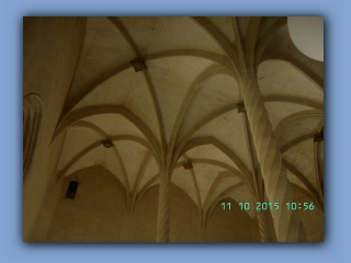 BILD6976.jpg