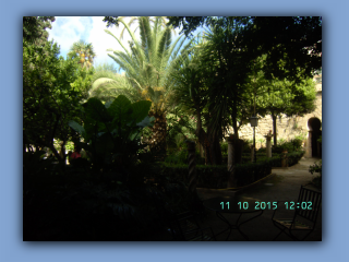 BILD7010.jpg