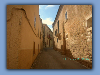 BILD7147.jpg