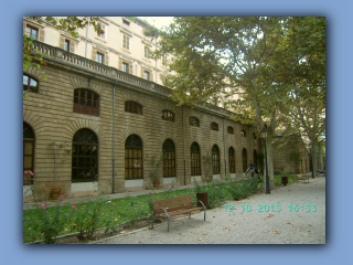 BILD7178.jpg
