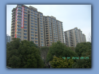 BILD8388.JPG