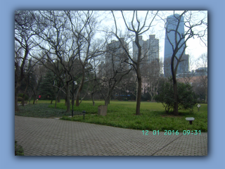 BILD8392.JPG