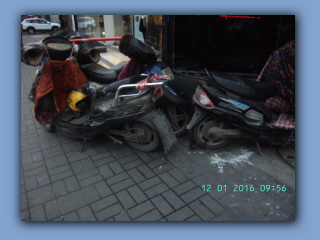 BILD8405.JPG