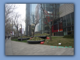 BILD8454.JPG