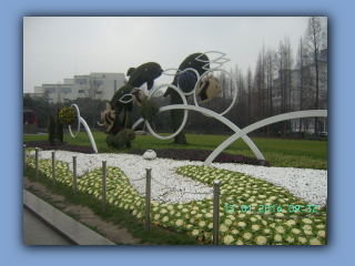 BILD8587.JPG