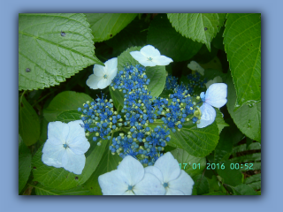 BILD8791.JPG
