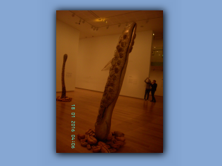 BILD8868.JPG