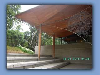BILD8870.JPG