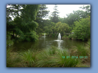 BILD8884.JPG
