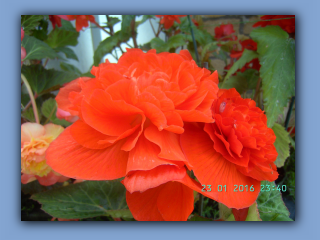 BILD9106.JPG
