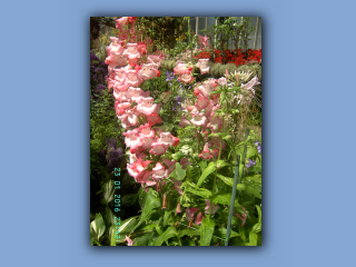 BILD9109.JPG