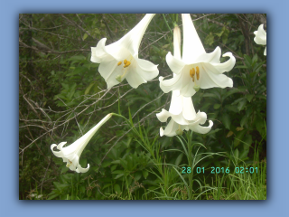 BILD9374.JPG