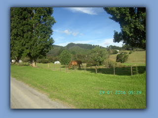 BILD9453.JPG