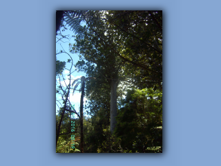 BILD9470.JPG
