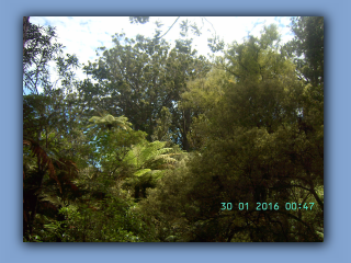BILD9485.JPG
