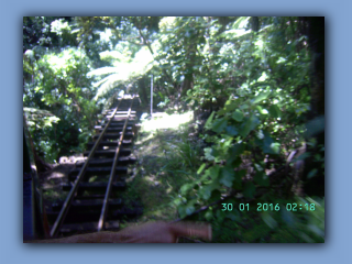 BILD9501.JPG