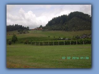 BILD9676.JPG