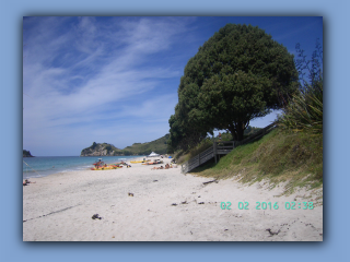 BILD9685.JPG