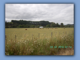 BILD9794.JPG