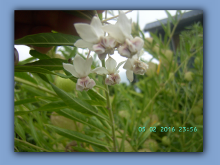 BILD9855.JPG