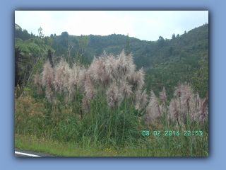 BILD9932.JPG