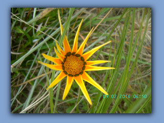 BILD9941.JPG
