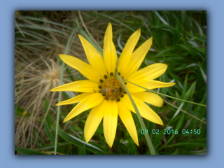 BILD9942.JPG