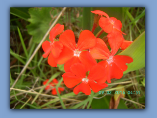 BILD9944.JPG