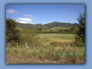 BILD9956.JPG