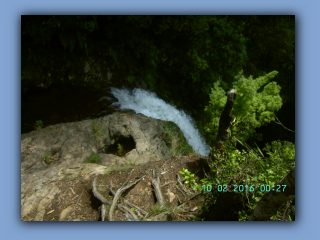 BILD9977.JPG