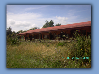 BILD0174.JPG