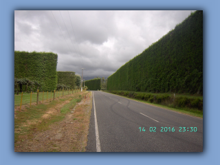BILD0207.JPG