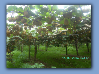 BILD0283.JPG