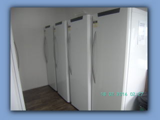 BILD0303.JPG