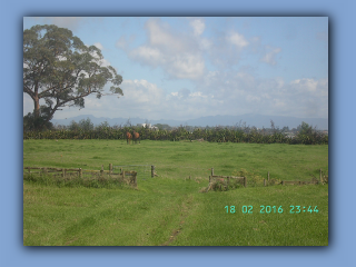 BILD0362.JPG
