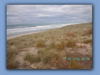 BILD0374.JPG