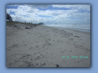 BILD0377.JPG
