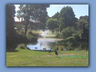 BILD0534.JPG