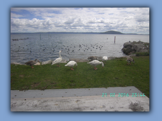 BILD0559.JPG