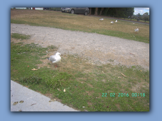 BILD0562.JPG