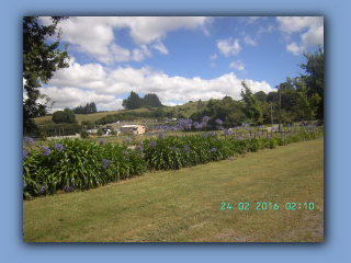 BILD0734.JPG
