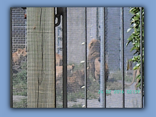BILD0741.JPG