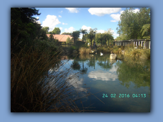 BILD0750.JPG