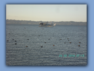 BILD0776.JPG