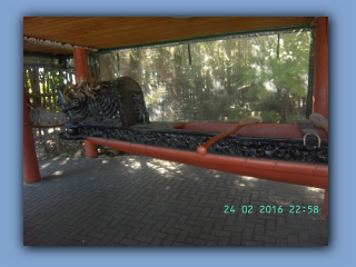 BILD0802.JPG