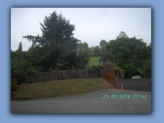 BILD0859.JPG