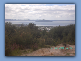 BILD0974.JPG