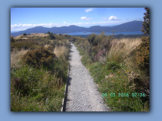 BILD1463.JPG
