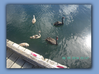 BILD1528.JPG