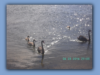 BILD1533.JPG